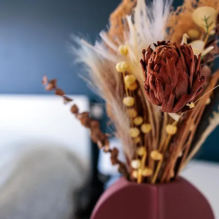 Escale à Malo Dunkirk